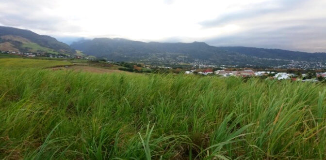 Expert foncier à la Réunion