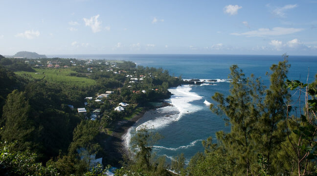 Un marché immobilier dynamique sur  Petite Île